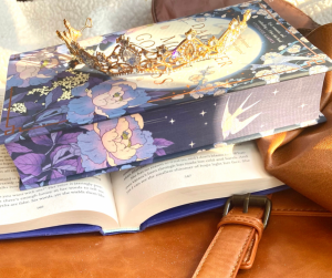Daughter of the moon goddess fairyloot book